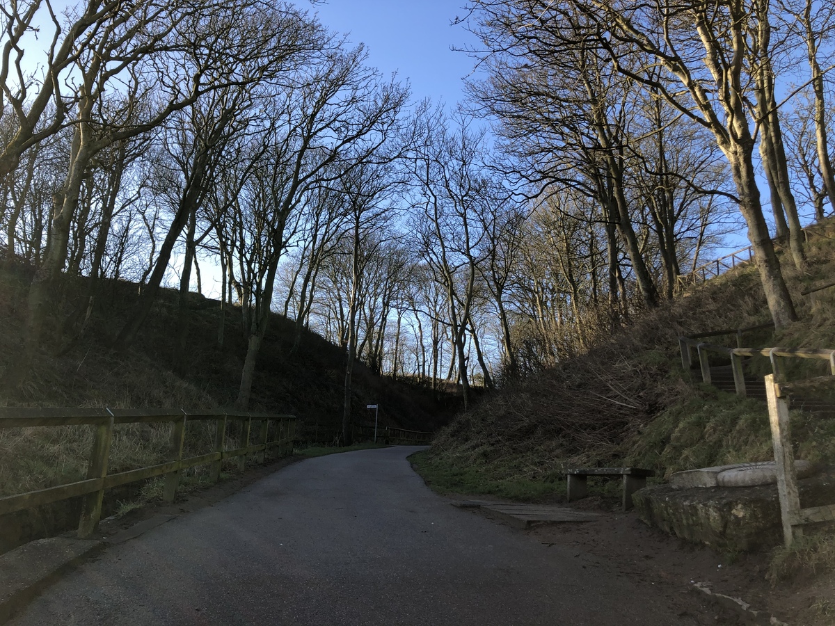 Martins Ravine